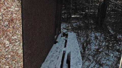 Wishart Cabin - Wishart-Cabin7.jpg