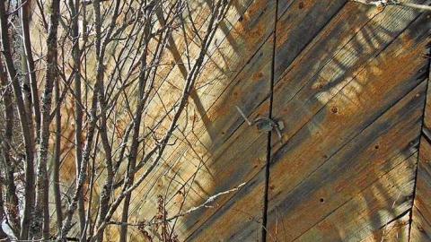 Wishart Cabin photo 3