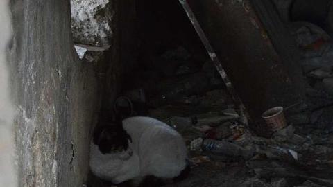 Mamilla - Doomed-Tomb-(1289-AD)4.jpg