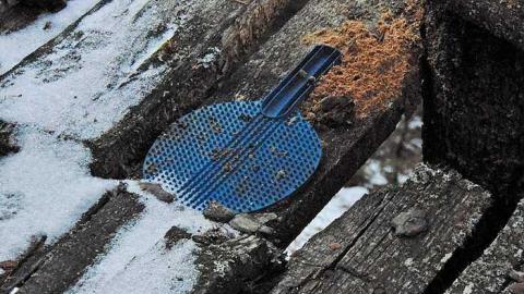 McIntyre River Cabin - McIntyre-River-Cabin1.jpg