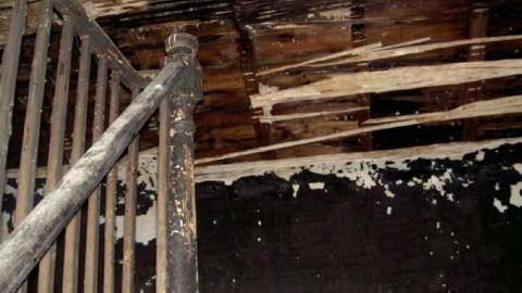 Nice Knoxers - Picture 025.jpg