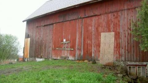 Nice Knoxers - Picture 027.jpg