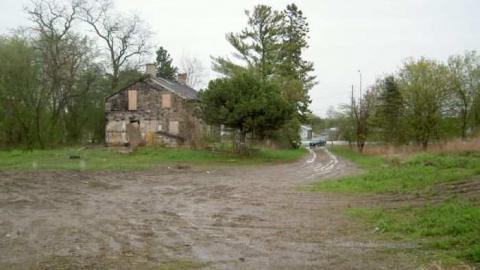 Nice Knoxers - Picture 028.jpg