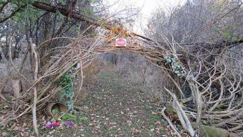 Educational and Eerie  - Camp-Yungvelt19.jpg