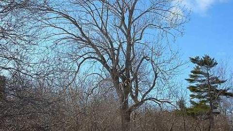 Dowker Island Ruins - Dowker-Island-ruins6.jpg