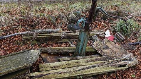 Hillview Farm - d-CMC_1941.jpg