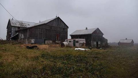 Hillview Farm - q-CMC_1938.jpg