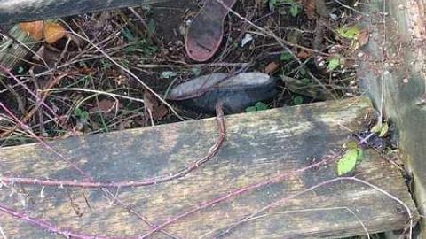 Country Home RunnerMom - Country-House17.jpg