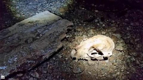 June 2015 - Hortop-Mill25.jpg