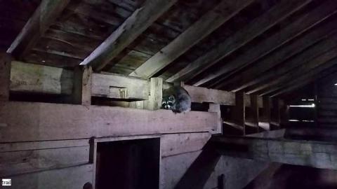 June 2015 - Hortop-Mill84.jpg