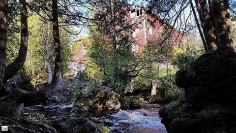 June 2015 - Hortop-Mill88.jpg