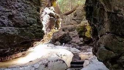 June 2015 - Hortop-Mill83.jpg