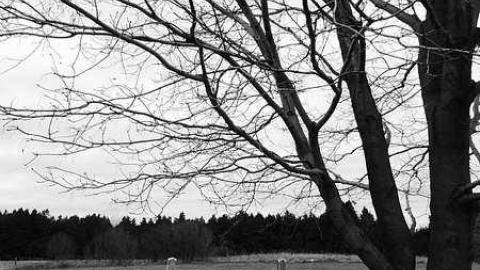 Franklin  - Franklin-Pioneer-Cemetery36.jpg