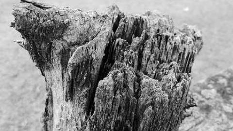 Franklin  - Franklin-Pioneer-Cemetery50.jpg