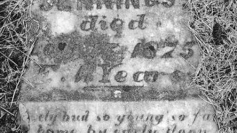 Franklin  - Franklin-Pioneer-Cemetery31.jpg