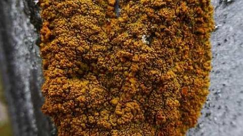 Franklin  - Franklin-Pioneer-Cemetery35.jpg