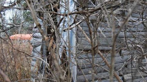 Last Run - Deepest-Darkest27.jpg