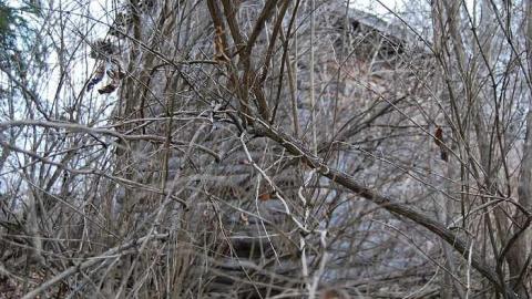 Last Run - Deepest-Darkest35.jpg