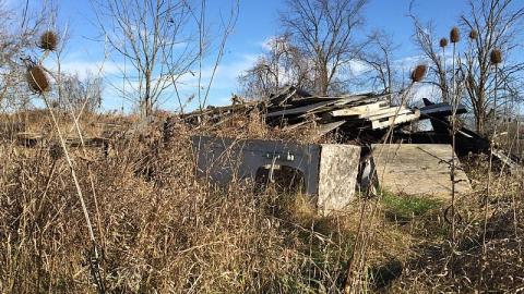 Photo from Peeling Paint