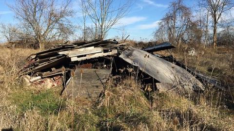 Photo from Peeling Paint