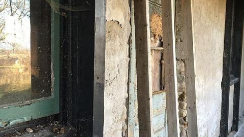 Peeling Paint - y-image.jpeg