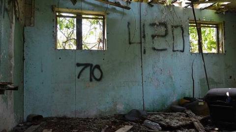 Summer 14 - The-Randall-Farm21.jpg