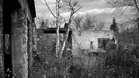 November 2015 - Darnley-Mill-Crooks-Hollow244.jpg