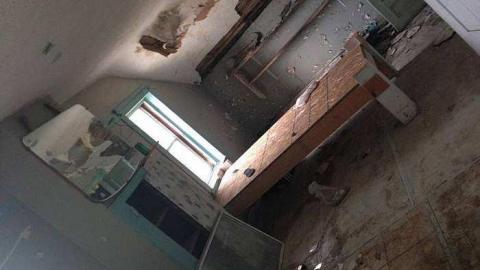 Handprints  - w-12308874_10153305251767547_2080902519_n.jpg