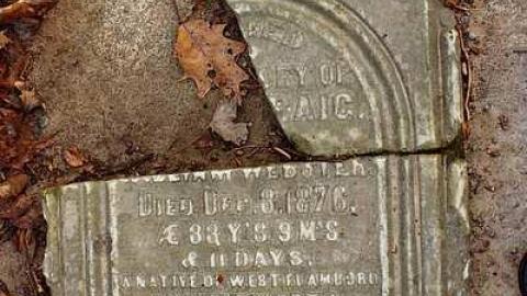 Cast An Eye - Webster-Family-Pioneer-Cemetery7.jpg