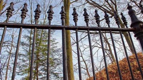 Cast An Eye - Webster-Family-Pioneer-Cemetery10.jpg