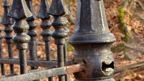 Webster Family Pioneer Cemetery photo 2