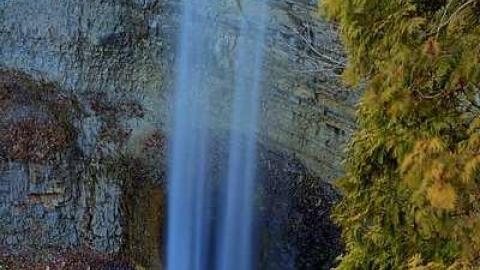 Cast An Eye - Webster-Family-Pioneer-Cemetery15.jpg