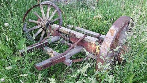 June 2015 - n-20150606_185127.jpg