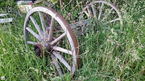 June 2015 - p-20150606_185117.jpg