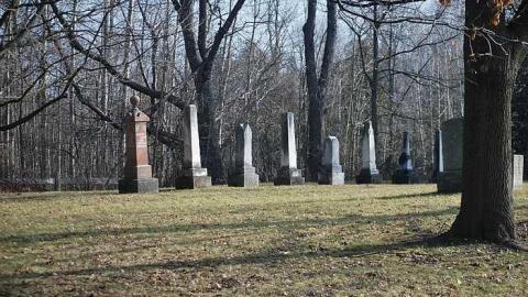 Cashel Cemetery - Cashel-Cemetery24.jpg