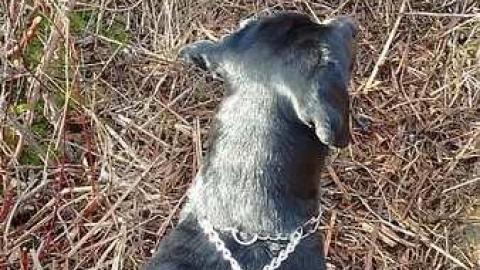 Bakelite ruins of a wastland - Journey-To-BakeLite6.jpg