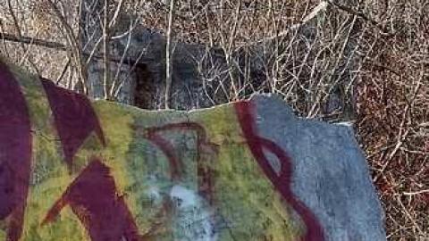 Photo from Bakelite ruins of a wastland