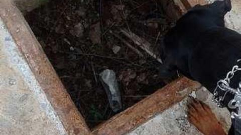 Bakelite ruins of a wastland - Journey-To-BakeLite11.jpg