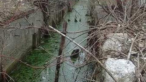 Photo from Bakelite ruins of a wastland