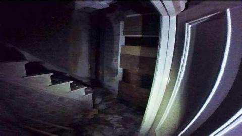 12/8/15 - Ayr-of-Yellow14.jpg