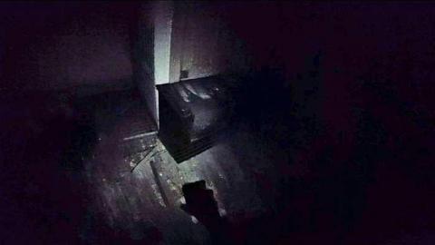 12/8/15 - Ayr-of-Yellow15.jpg