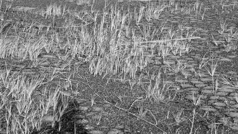 Stop 50 - Stop-50-Truck-Stop138.jpg