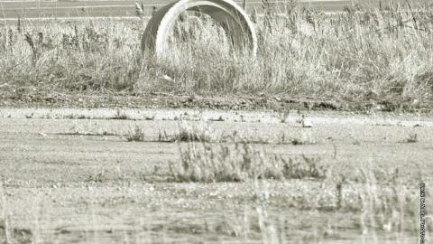 Stop 50 - Stop-50-Truck-Stop271.jpg