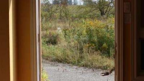 inside look  - Sideline-House8.jpg