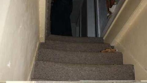 inside look  - Sideline-House7.jpg