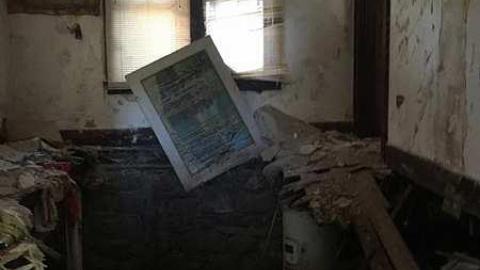 Summer Visit 2014 - Taxidermist-Home11.jpg