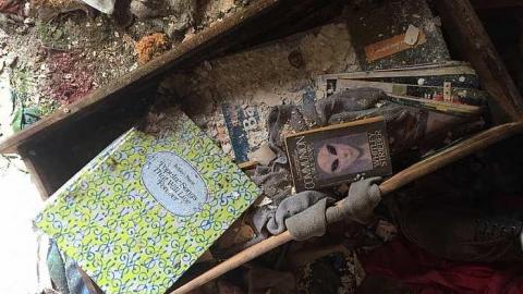 Taxidermist Home photo 2