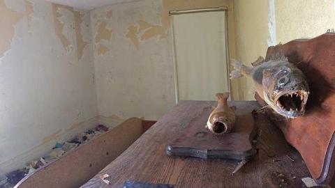 Taxidermist Home photo 4