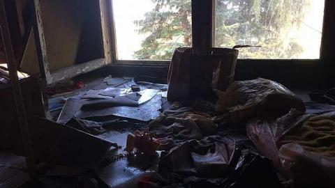 Summer Visit 2014 - Taxidermist-Home4.jpg