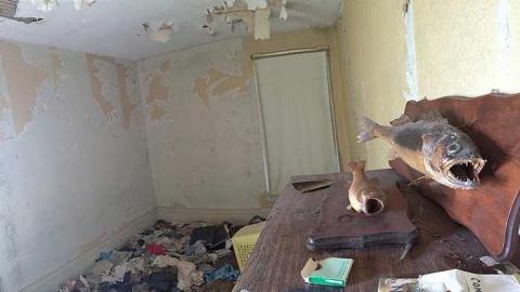 Summer Visit 2014 - Taxidermist-Home5.jpg